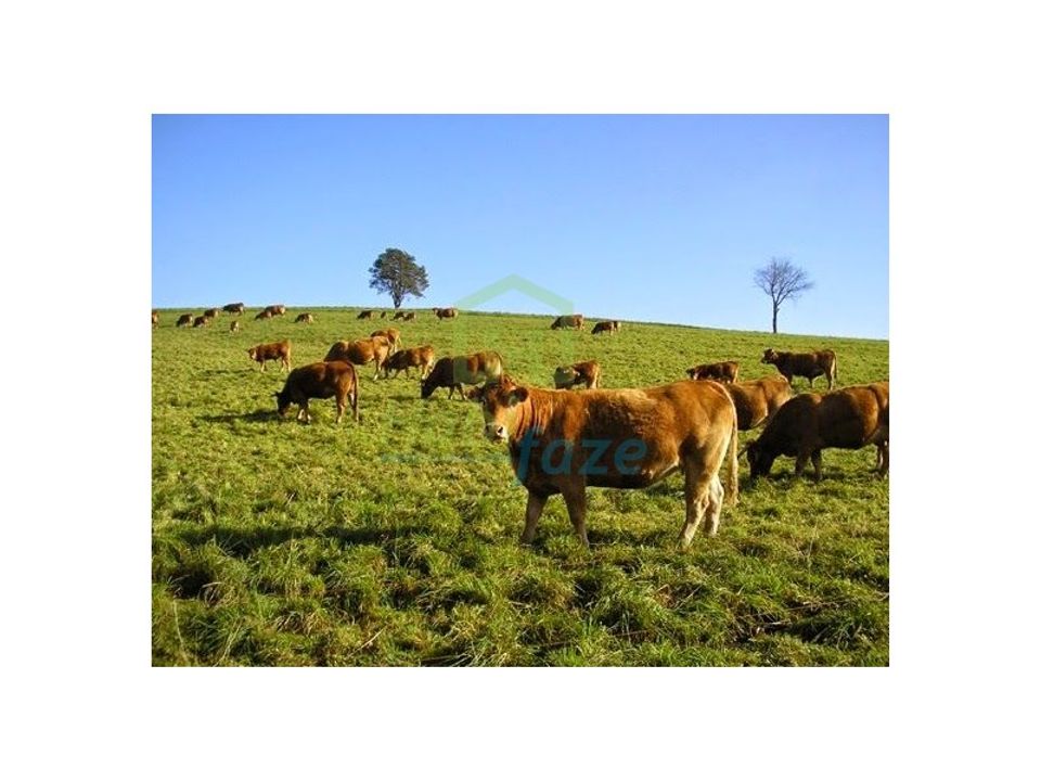 Landejendom i Redondo, Evora - foto 2