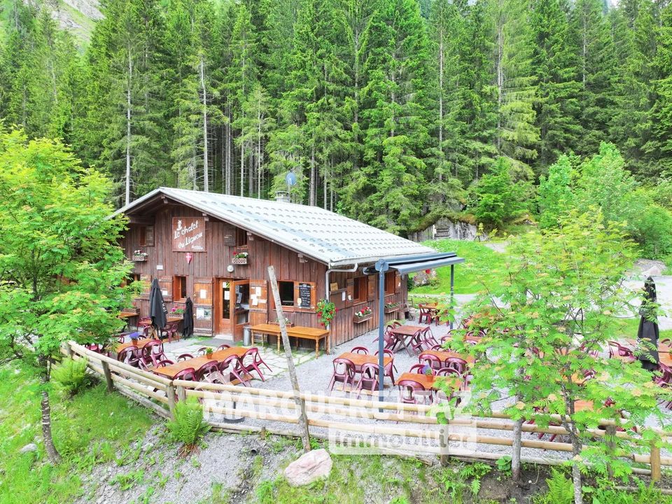Erhvervsejendom i Sixt-Fer-à-Cheval, Haute-Savoie - foto 4