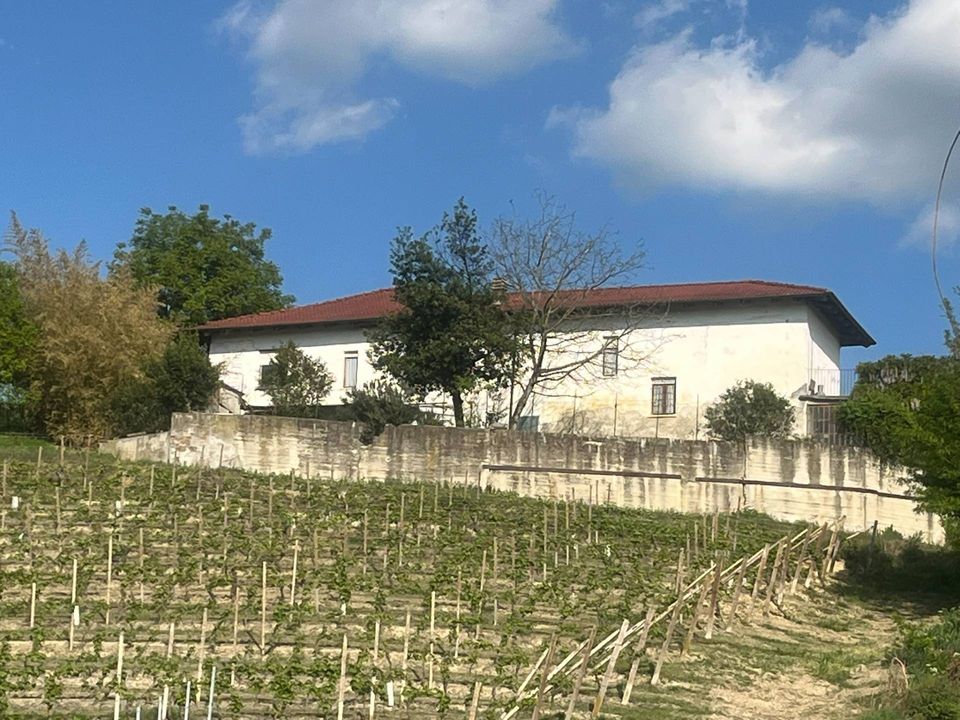 Landejendom i Castagnole delle Lanze, Asti - foto 2