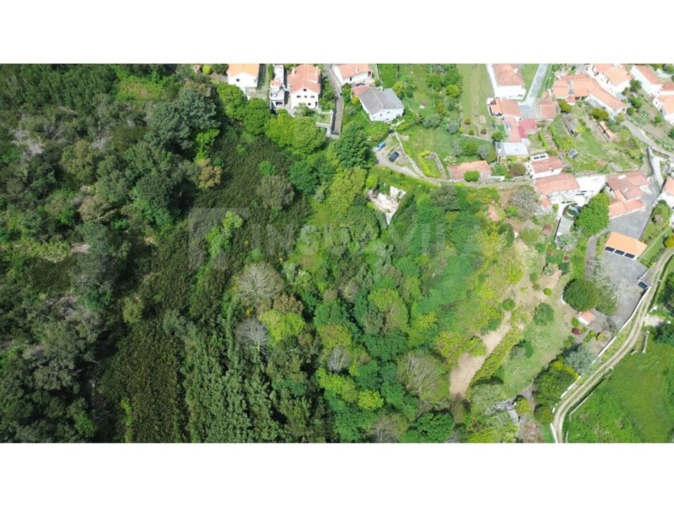 Villa i Caminha, Viana do Castelo - foto 4