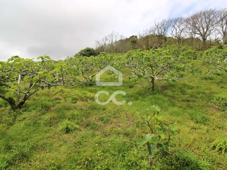 Villa i Vila Franca do Campo, Sao Miguel - foto 4