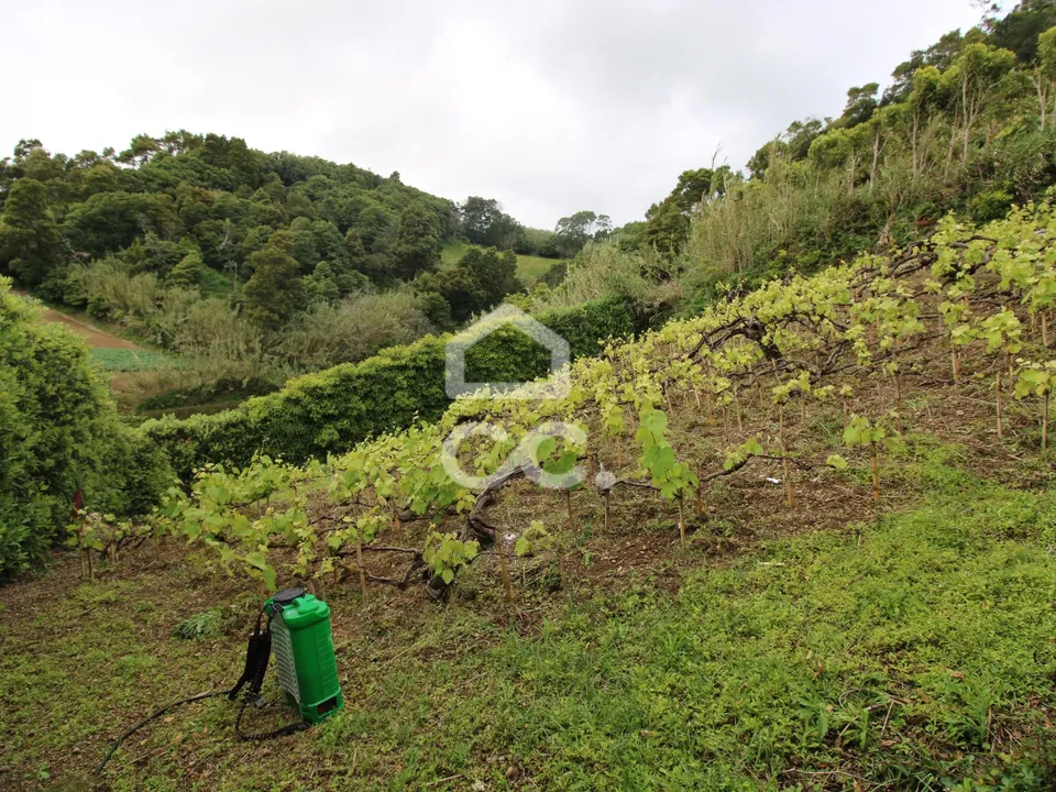 Villa i Vila Franca do Campo, Sao Miguel - foto 5