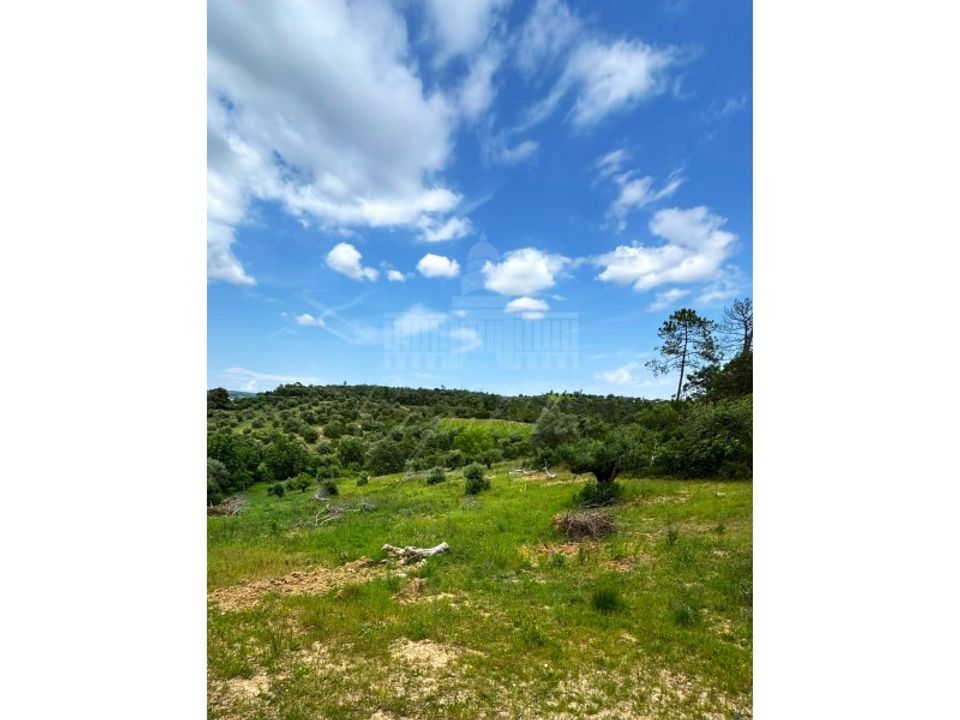 Terra em Assentiz, Santarem - foto 4