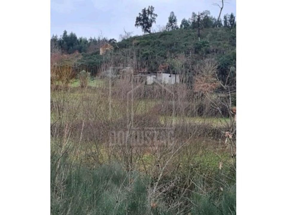 Farm i Oliveira do Hospital, Coimbra - foto 1