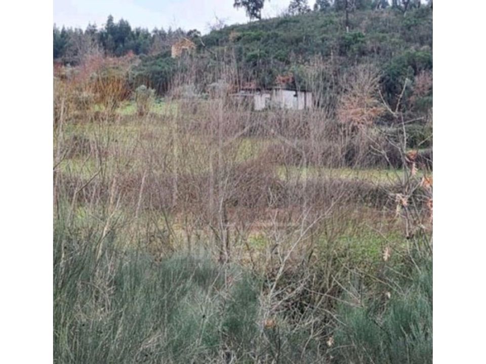 Farm i Oliveira do Hospital, Coimbra - foto 2