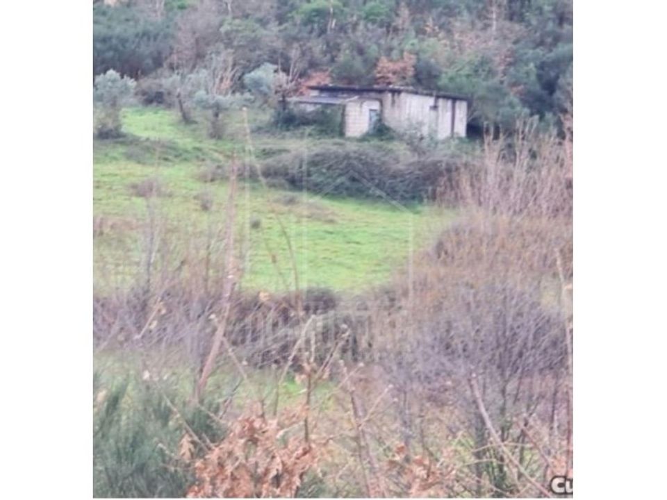 Farm i Oliveira do Hospital, Coimbra - foto 3