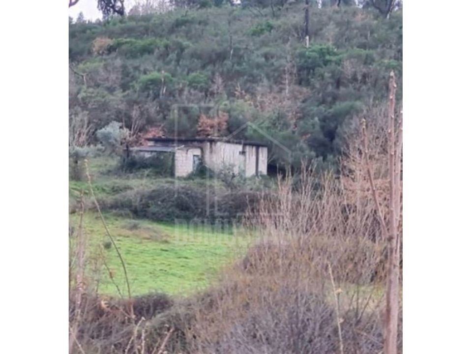 Farm i Oliveira do Hospital, Coimbra - foto 4