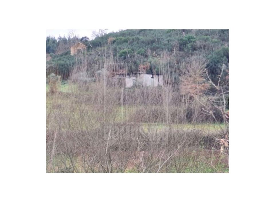 Farm i Oliveira do Hospital, Coimbra - foto 5