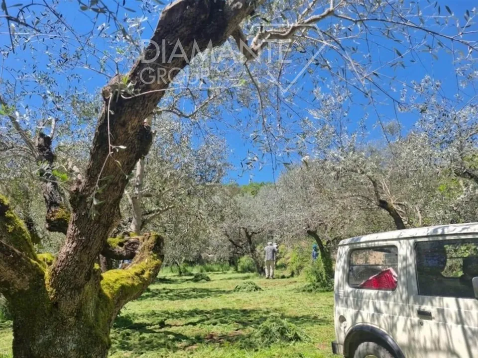 Helårsgrund i Panicale, Perugia - foto 3