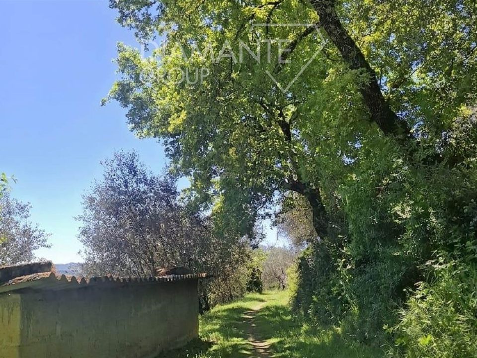 Helårsgrund i Panicale, Perugia - foto 5