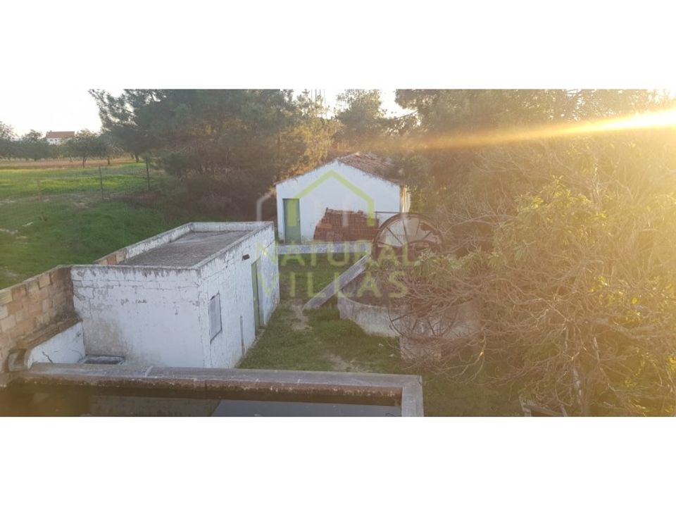 Farm i Olhao, Faro - foto 1