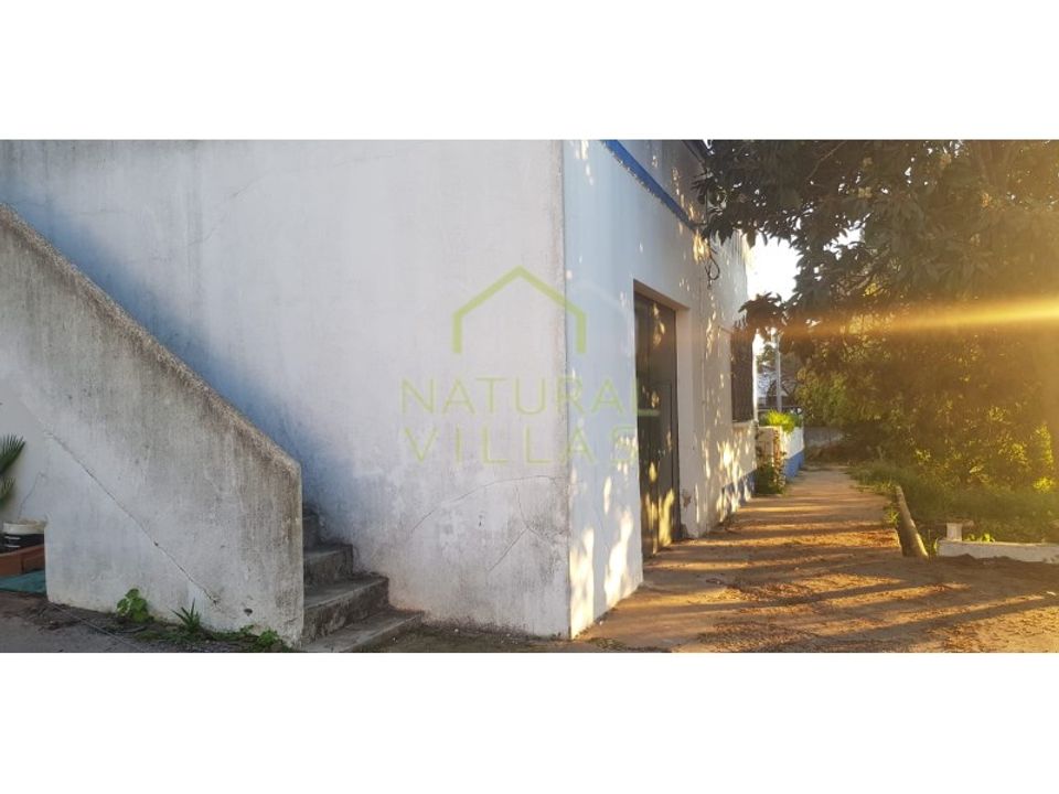 Farm i Olhao, Faro - foto 3