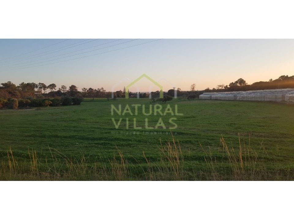 Farm i Olhao, Faro - foto 4