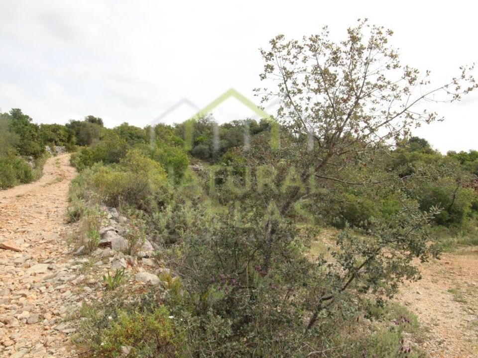 Helårsgrund i Sao Bras de Alportel, Faro - foto 3
