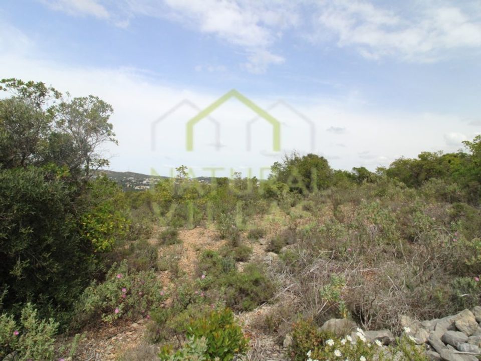 Helårsgrund i Sao Bras de Alportel, Faro - foto 5