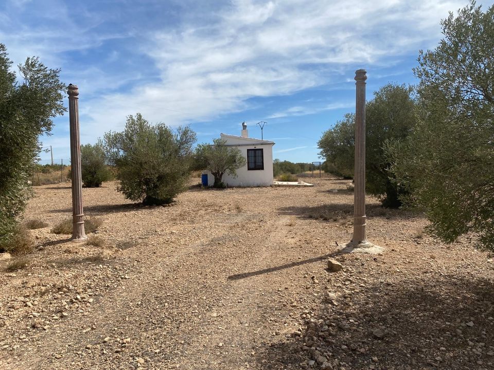 Landejendom i Caudete, Albacete - foto 2