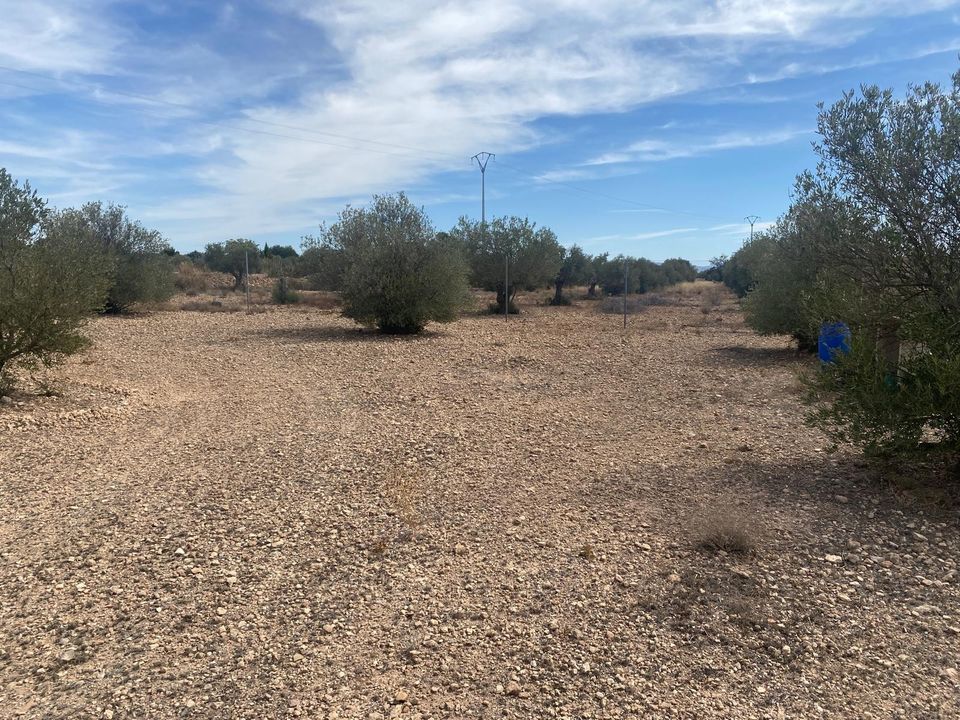 Landejendom i Caudete, Albacete - foto 3