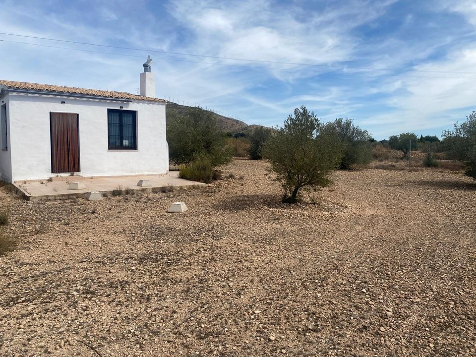 Landejendom i Caudete, Albacete - foto 4
