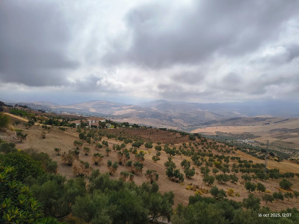 Landejendom i Antequera, Malaga - foto 4
