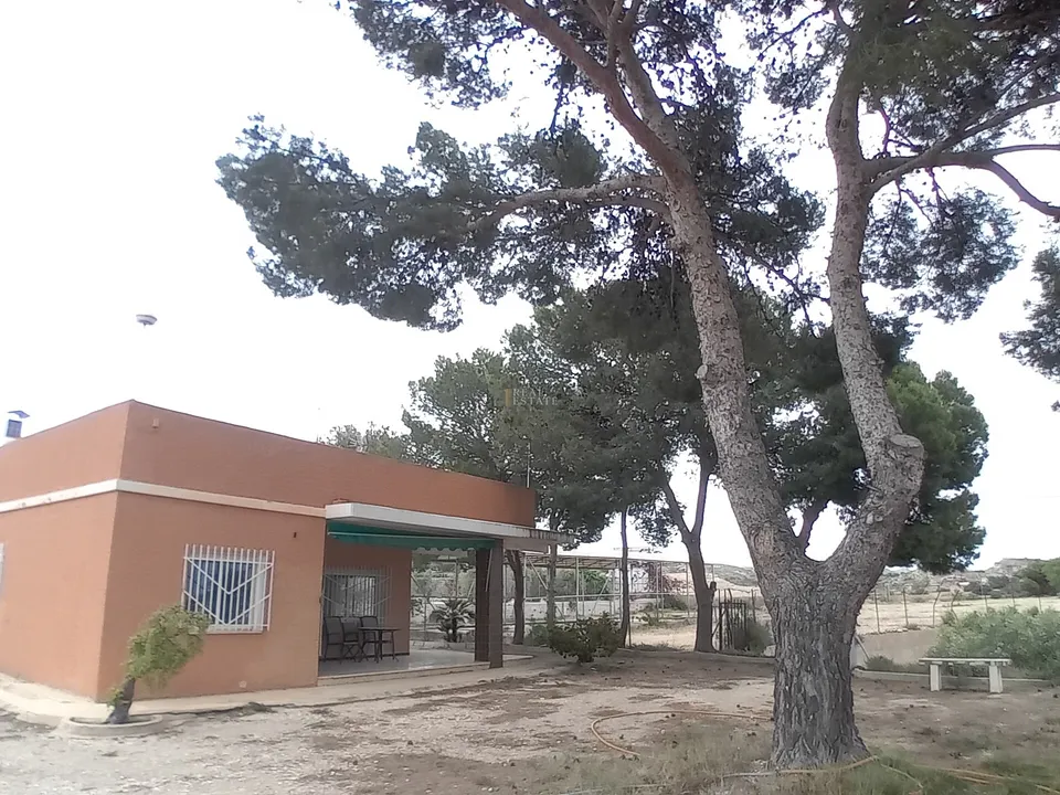 Landejendom i Elche, Alicante - foto 2
