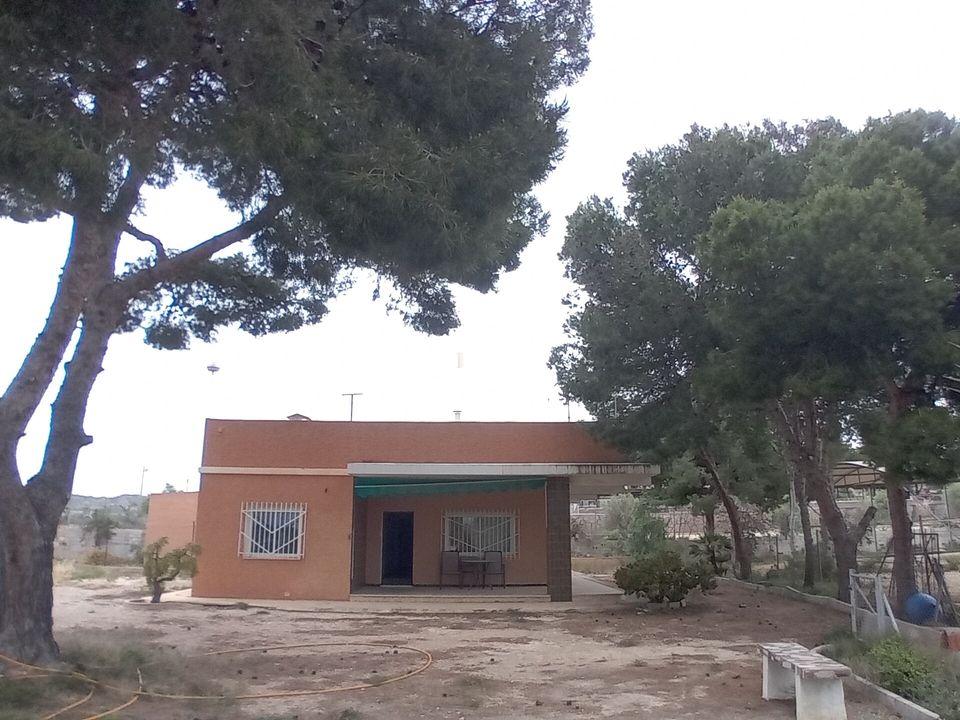 Landejendom i Elche, Alicante - foto 3