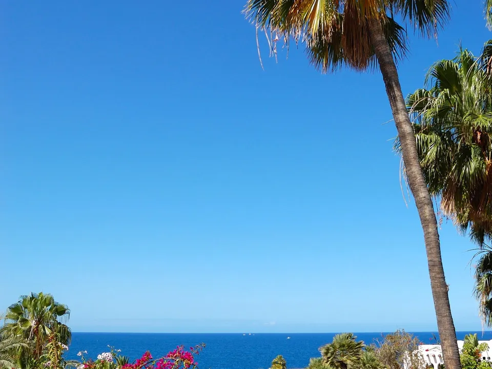 Erhvervsejendom i Brena Alta, La Palma - foto 2