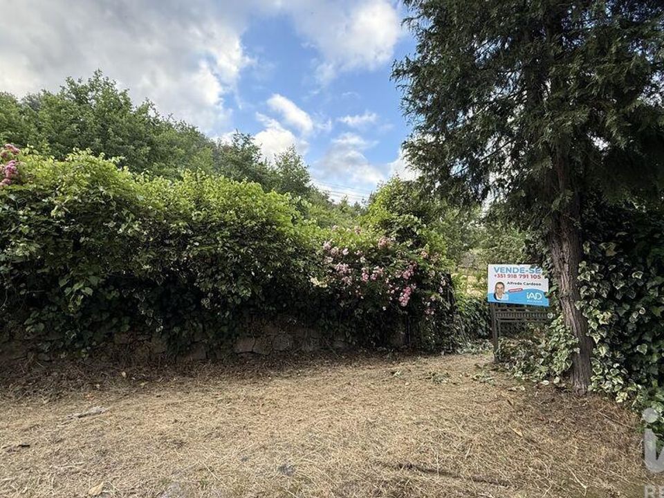 Gård i Vila Real, Vila Real - bilde 1