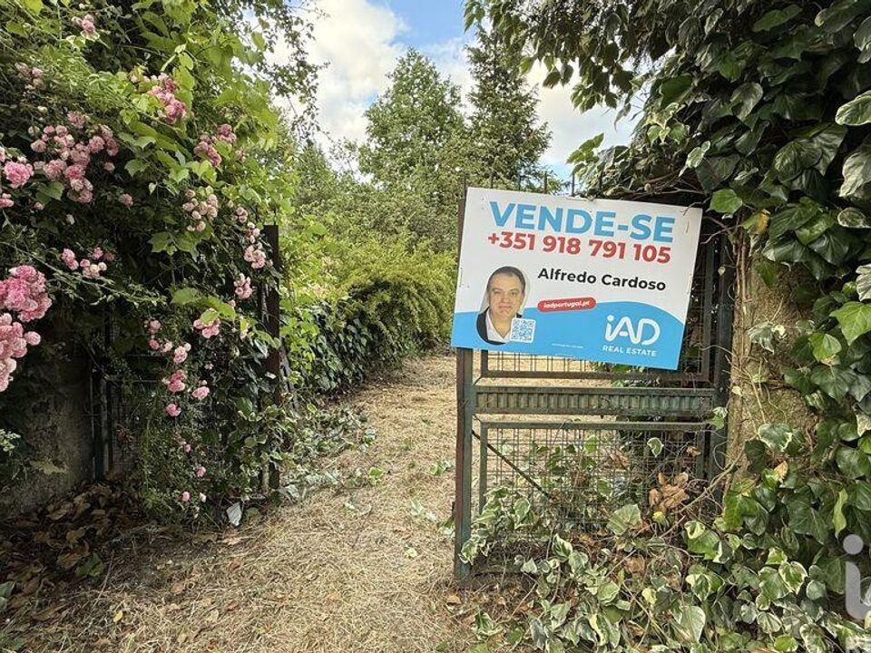 Gård i Vila Real, Vila Real - bilde 2