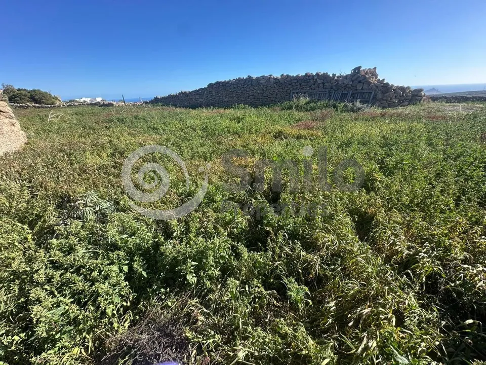 Herregård i Granadilla, Tenerife - bilde 3