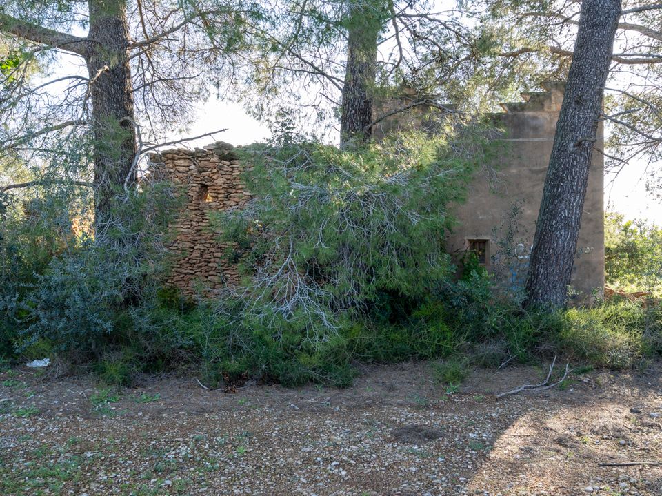 Finca i Santa Barbara, Tarragona - foto 3
