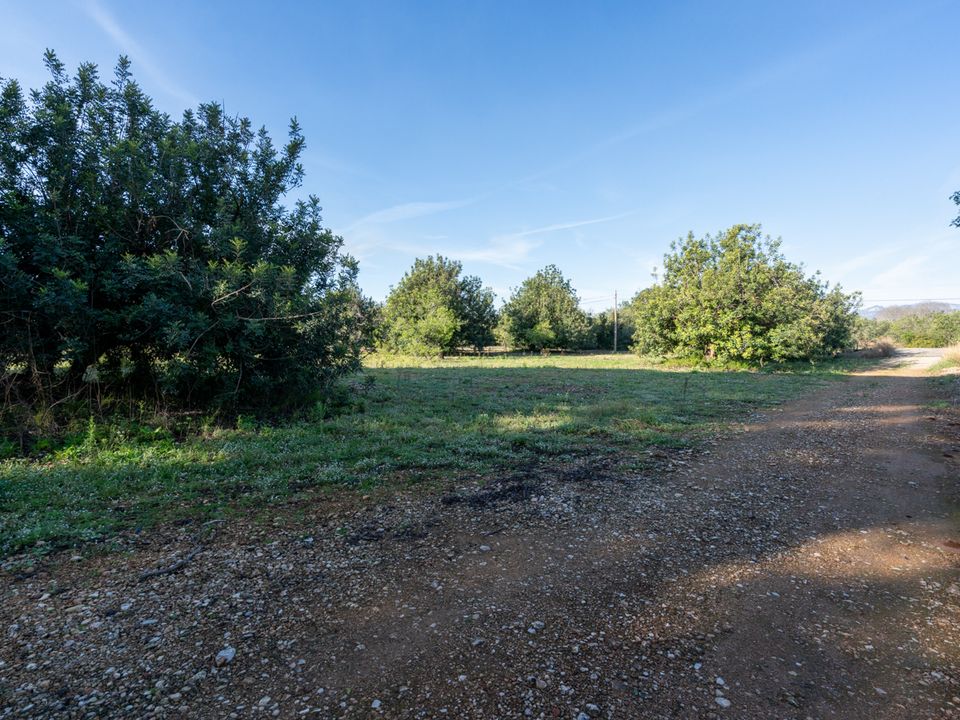 Finca i Santa Barbara, Tarragona - foto 5