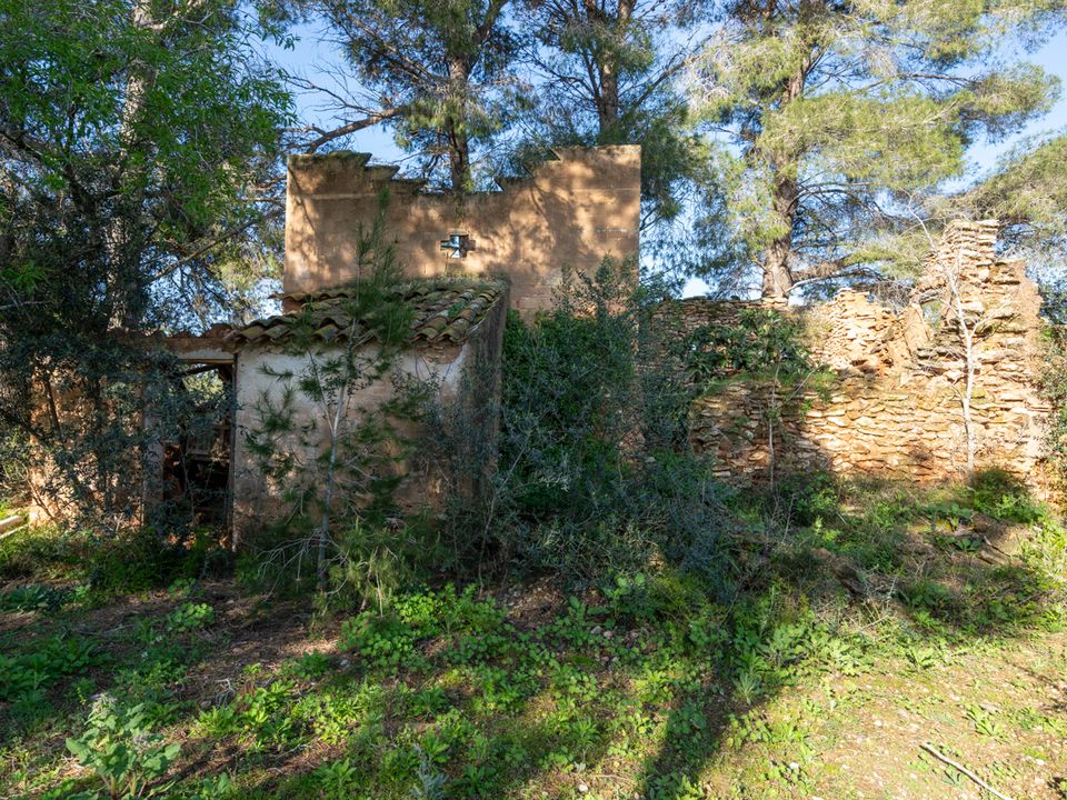 Finca i Santa Barbara, Tarragona - foto 2