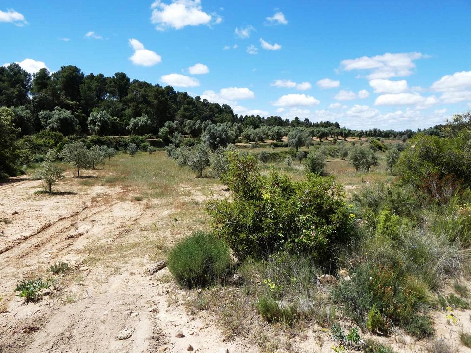 Finca i Calaceite, Teruel - foto 2