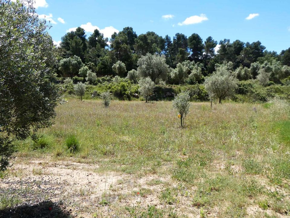 Finca i Calaceite, Teruel - foto 5