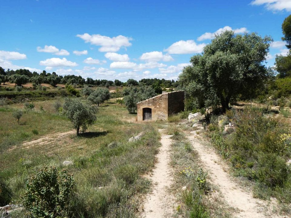Finca i Calaceite, Teruel - foto 4