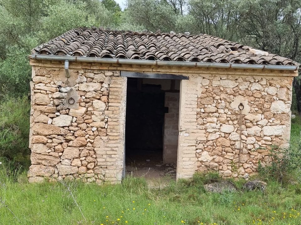 Finca i Mora D'ebre, Tarragona - foto 4