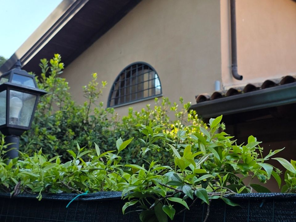 Town house in Morlupo, Rome - photo 4