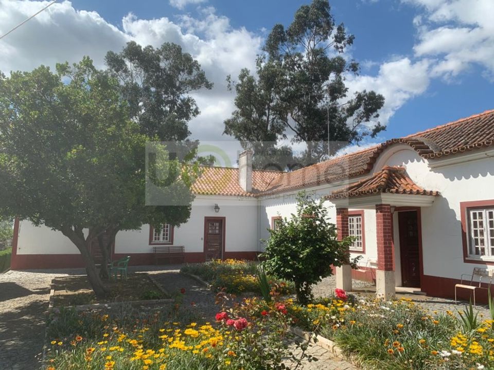Farm i Montemor-o-Novo, Evora - foto 2