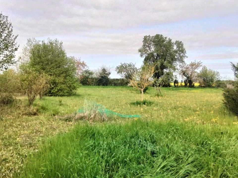Helårsgrund i Charrais, Vienne - foto 1