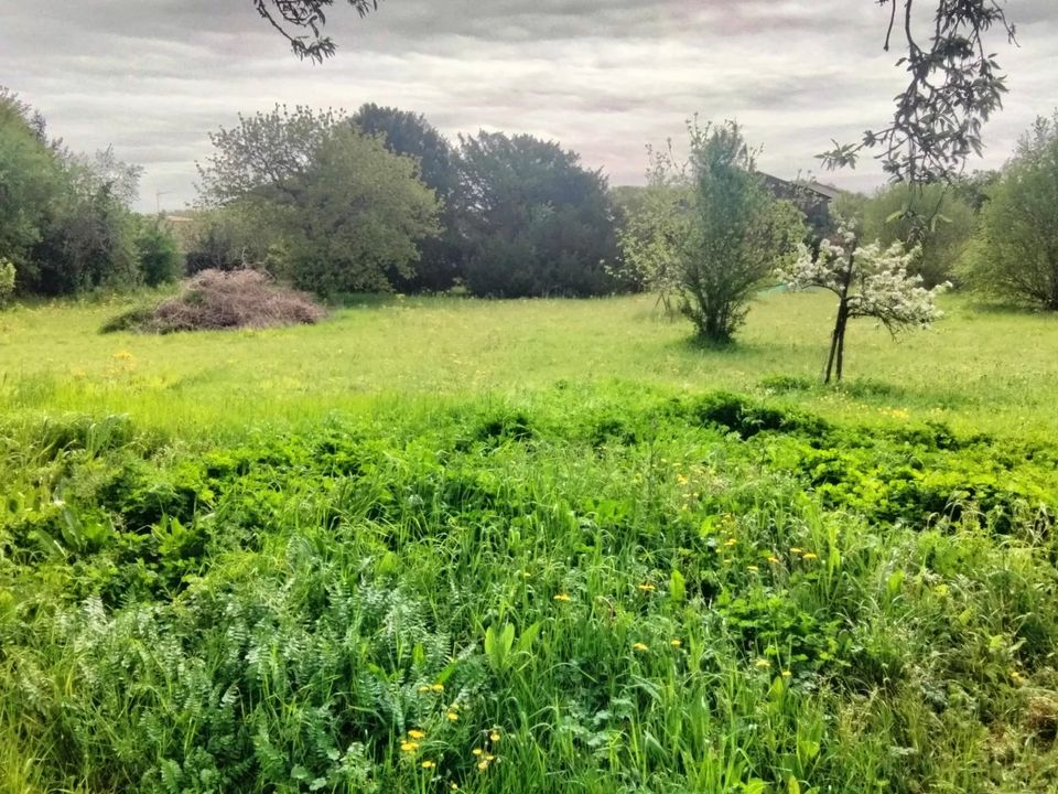 Helårsgrund i Charrais, Vienne - foto 2
