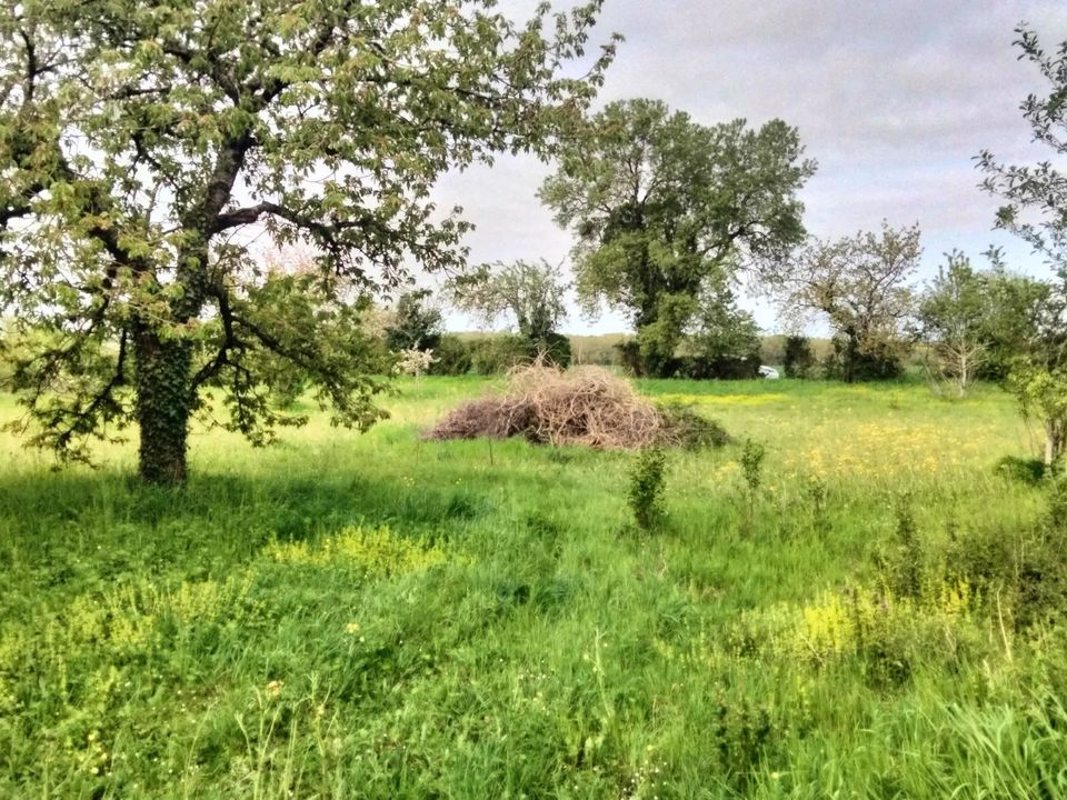 Helårsgrund i Charrais, Vienne - foto 3