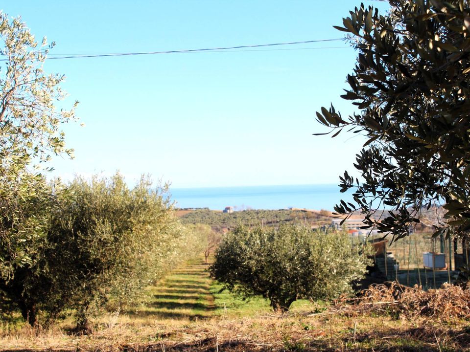 Helårsgrund i Cupello, Chieti - foto 2