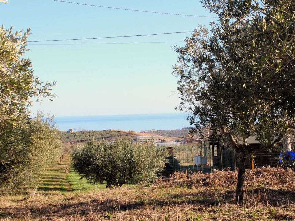 Helårsgrund i Cupello, Chieti - foto 5