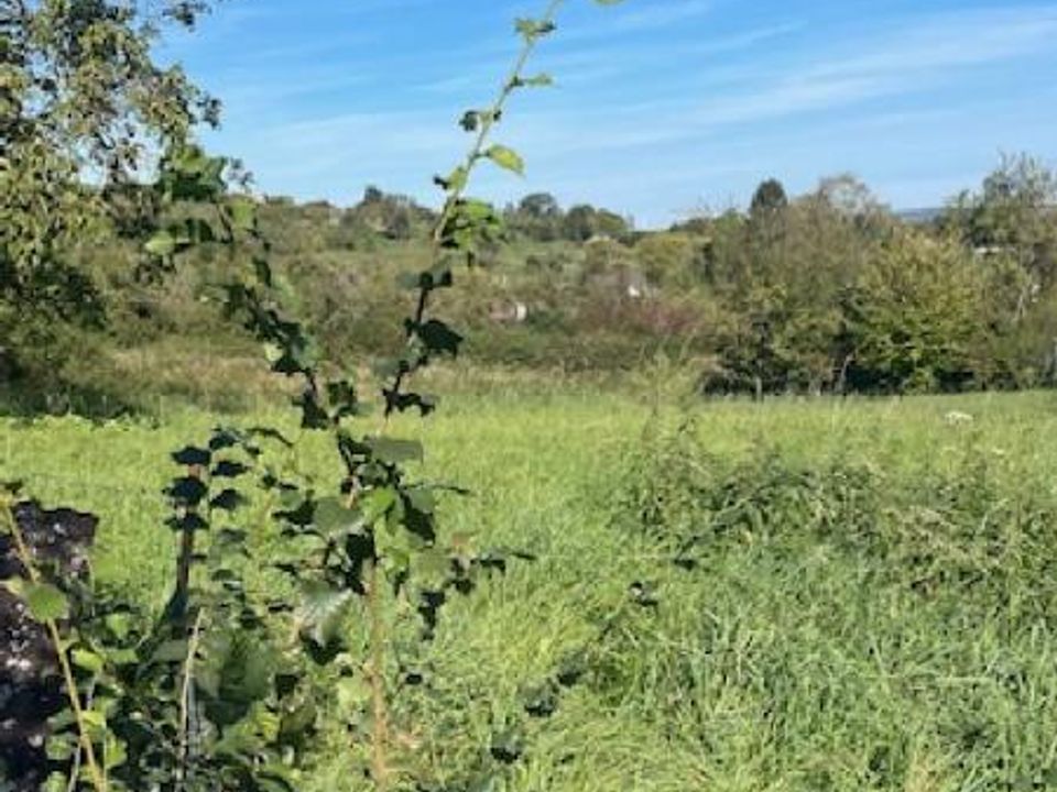 Helårsgrund i Bouxières-aux-Chênes, Meurthe-et-Moselle - foto 1