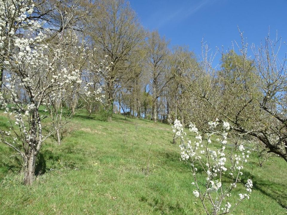 Villa i Nevoy, Loiret - foto 4