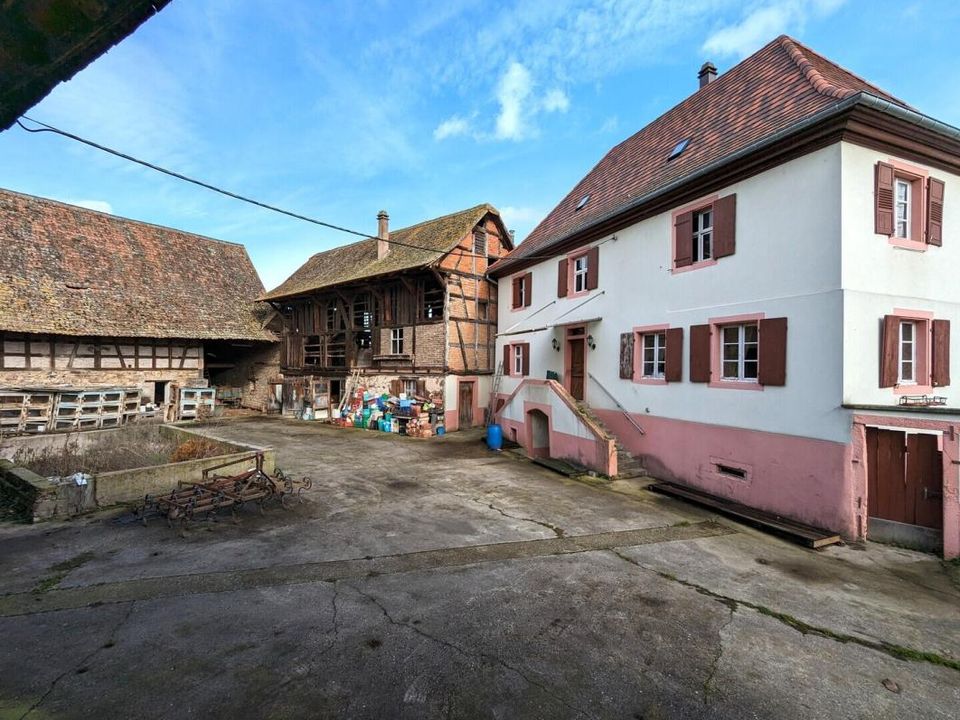 Villa i Entzheim, Bas-Rhin - foto 2