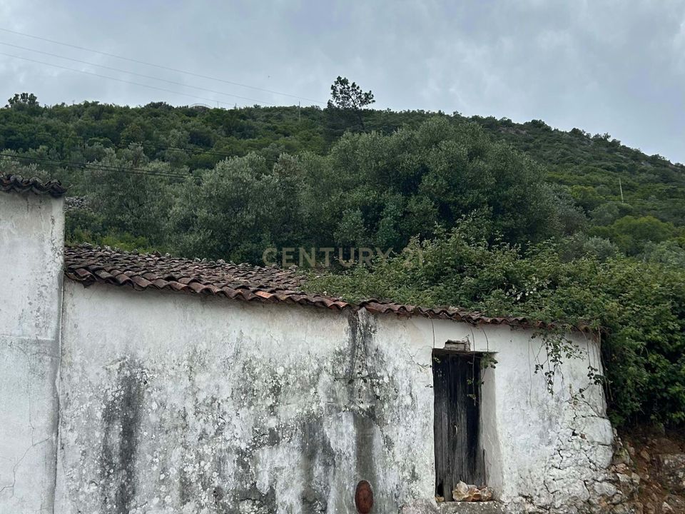 Villa i Alcanena, Santarem - foto 4