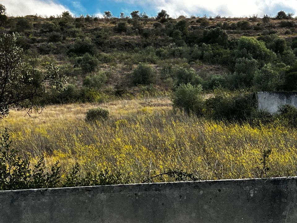 Helårsgrund i Loures, Lisbon - foto 4