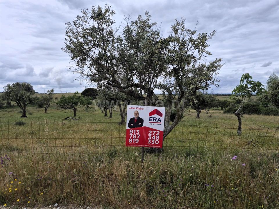 Erhvervsejendom i Nisa, Portalegre - foto 1