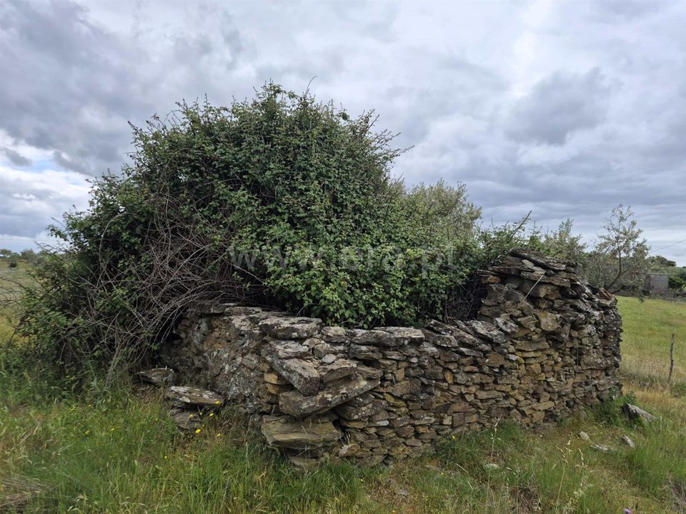 Erhvervsejendom i Nisa, Portalegre - foto 4